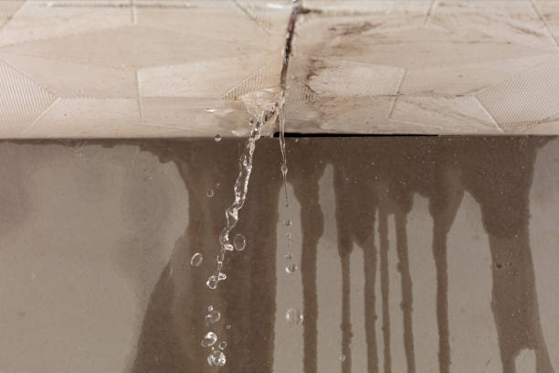 Professional Water Damage Repair technician working in Gaylesville, AL